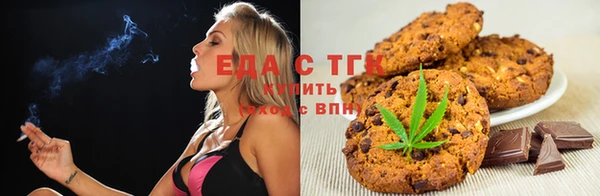прущие грибы Балабаново