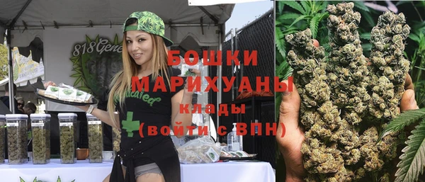 прущие грибы Балабаново