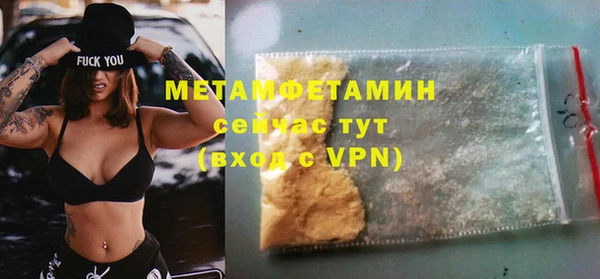 прущие грибы Балабаново