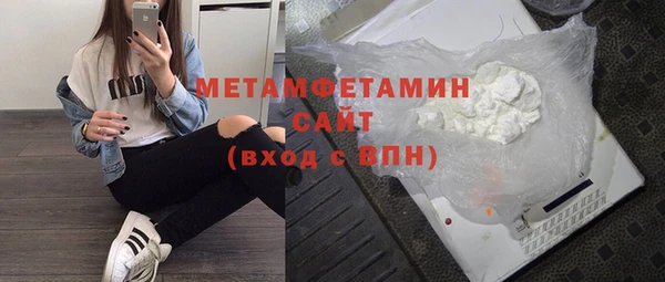 прущие грибы Балабаново