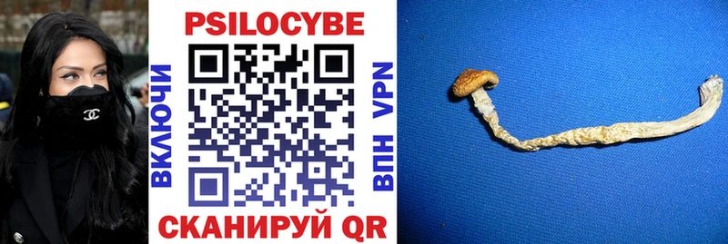 купить наркотик  Демидов  Галлюциногенные грибы Cubensis 